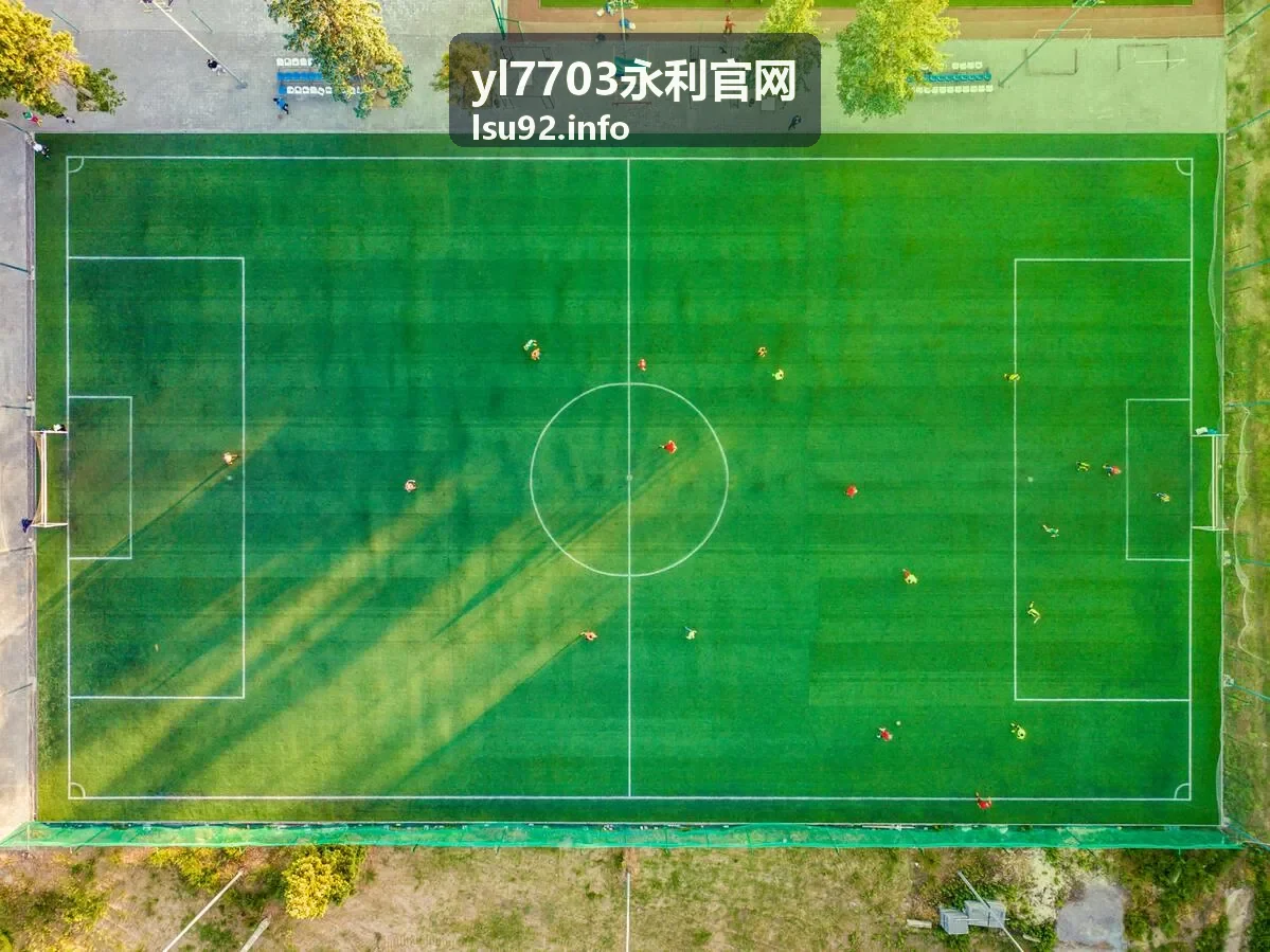 yl7703永利官网会员权益与增值服务